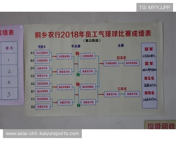 国际排球赛球队心理辅导体系的构建要点，排球案例分析