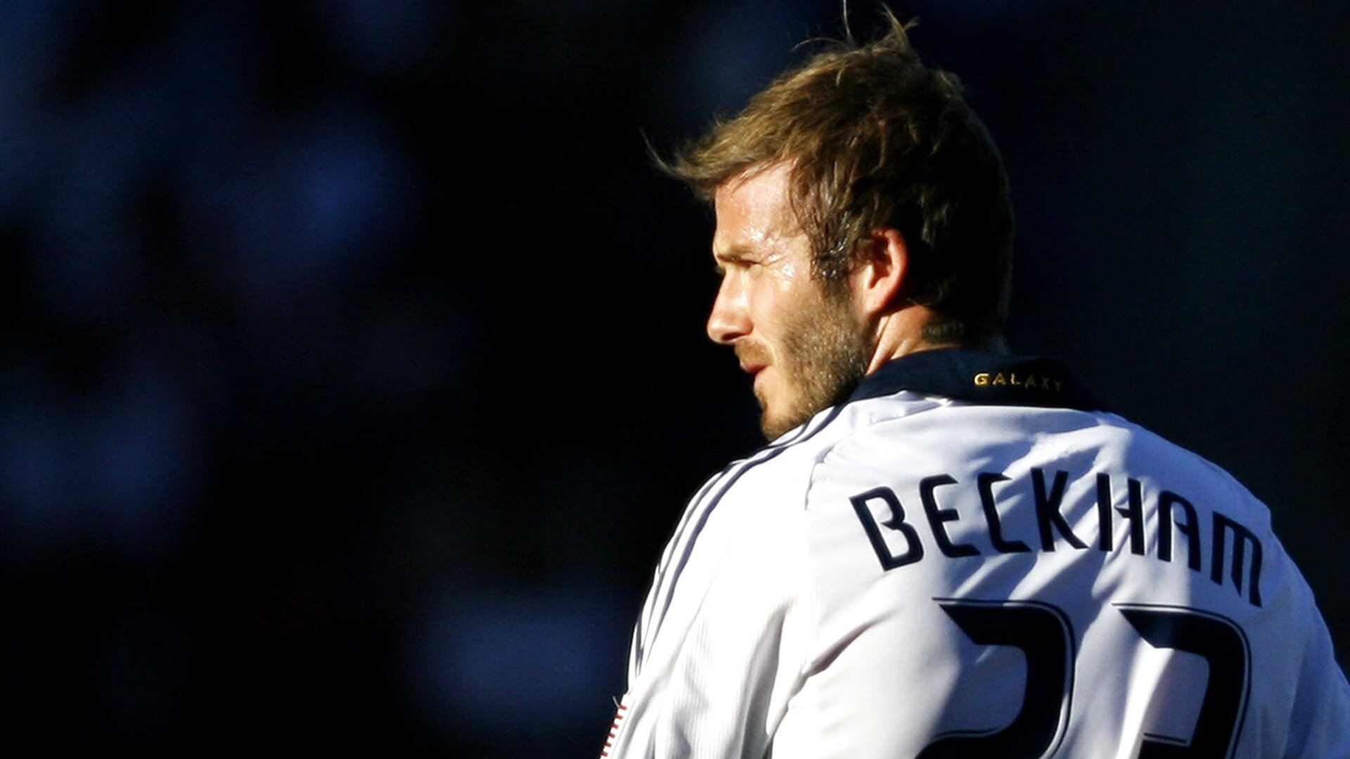 冠军赛季回顾：数据与瞬间把握胜利脉络，2020赛季冠军