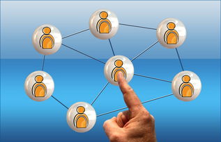 开云综合服务-冠军球队社会责任项目获社区高度评价与广泛参与，冠军组织的定义